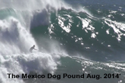 themexicodogpoundRg