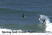 springsaltcreek2014Rg