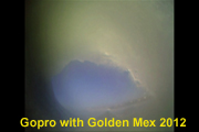 GoProWithGolden2RgA