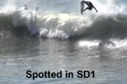 spottedinsd1Rg