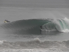 Stacks Image 647