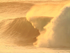 Stacks Image 789