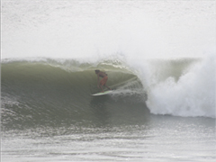 Stacks Image 830