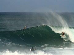 Stacks Image 849