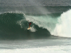 Stacks Image 861